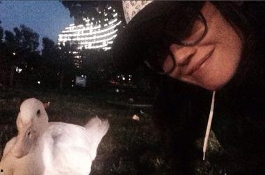 鸭子视频国产深夜,鸭子视频，带你领略国产短视频的魅力