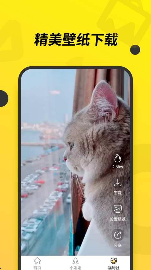 国产蜜瓜视频,甜蜜滋味，国产骄傲的甜蜜之旅