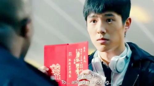 老外解说国产剧大全视频,老外解说大全视频精华盘点