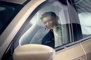 国产新势力车事故视频,揭秘现代科技与安全的碰撞