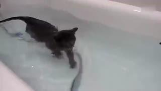 国产越狱搞笑视频,笑料百出，越狱奇遇记