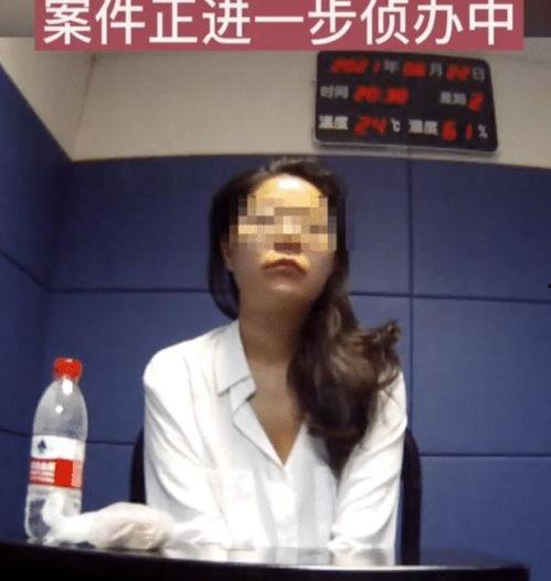 沈先生最新视频 国产,揭秘国产品牌崛起之路