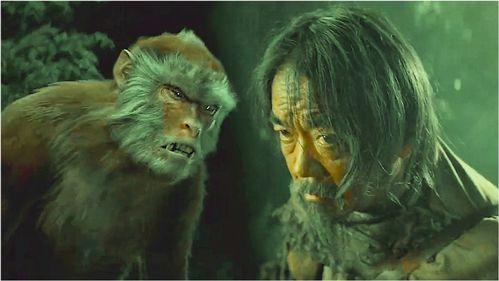 国产恐怖剧大马猴视频播放,国产恐怖剧中的惊悚视听之旅